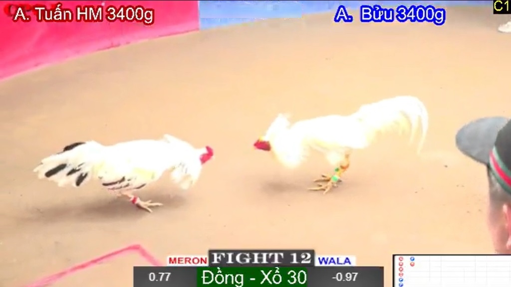 Thomo máu lửa tung đòn thắng lớn mỗi ngày